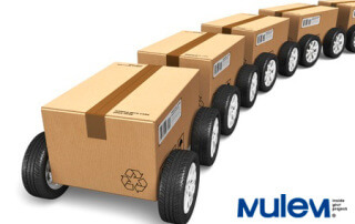 Sistemas-de-embalajes-mulem