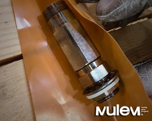 Protección de complemento